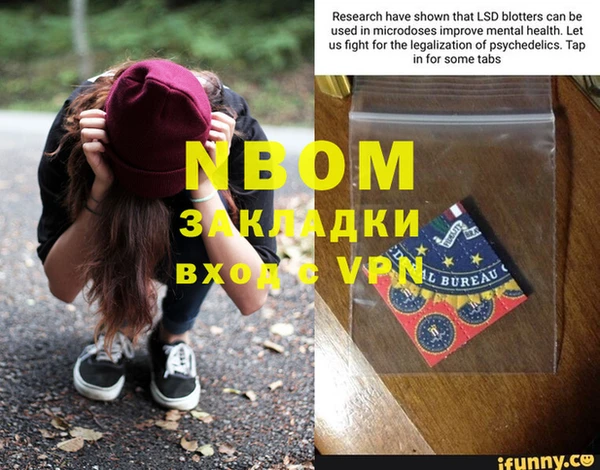 ПСИЛОЦИБИНОВЫЕ ГРИБЫ Арсеньев