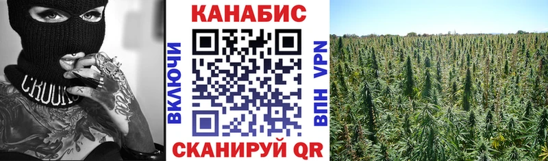 KRAKEN зеркало  Фатеж  Каннабис индика 